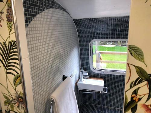 baño con lavabo y ventana en Airstream Woodland Escape, en Galston