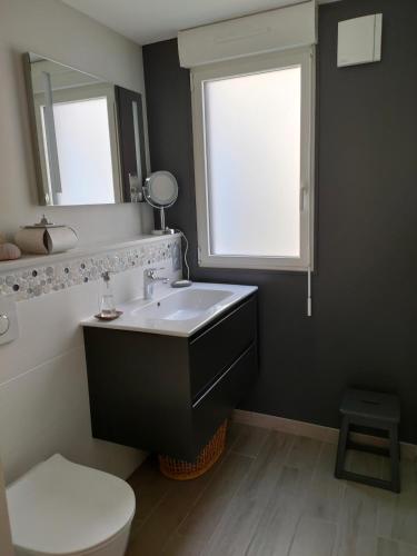 une salle de bain avec un lavabo, des toilettes et un miroir dans l'établissement Le crabe rouge, à Groix