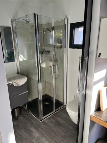 a glass shower in a bathroom with a toilet at Studio indépendant très calme in Saint-Jean-de-Védas