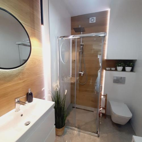 uma casa de banho com um chuveiro, um WC e um lavatório. em Lux Apartment parking gratis em Złotów