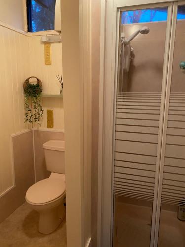 Kylpyhuone majoituspaikassa Caban Coetir