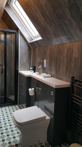 a bathroom with a toilet and a sink and a skylight at Grenitote B&B in Portree