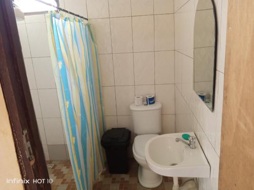 a small bathroom with a toilet and a sink at Wli Waterfalls Inn in Wli Afegame