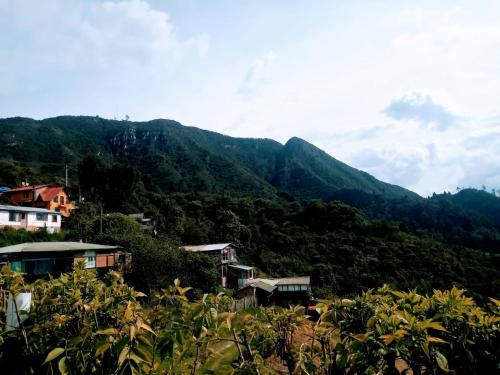 vistas a una montaña con casas y árboles en Cabaña del Colibri, la Guacamaya y la Mariposa en Sopo