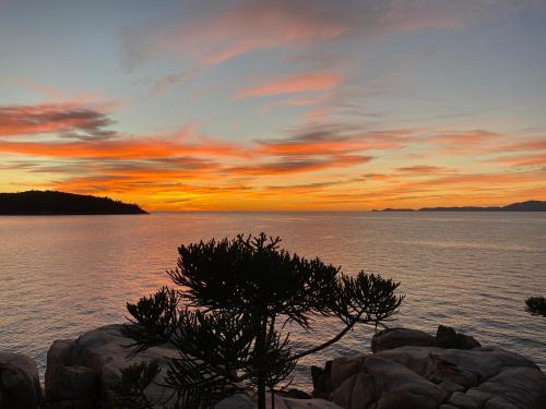 un coucher de soleil sur l'eau avec un arbre sur les rochers dans l'établissement The Boulders - Oceanfront Couple's Retreat with private pool near ferry, à Nelly Bay