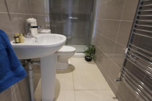 a bathroom with a sink and a toilet at Heritage Place by Select SA in Reading