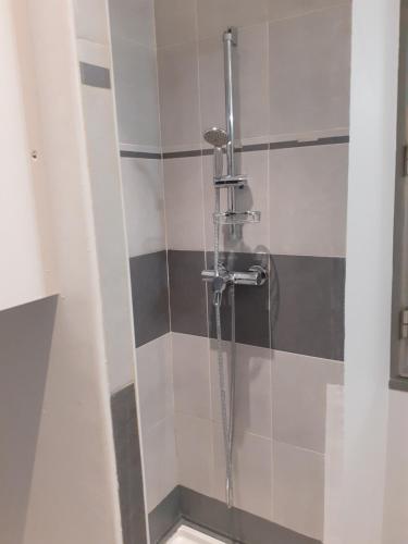 une douche dans une salle de bain avec une porte vitrée dans l'établissement FORVILLE APARTMENT Cannes, à Cannes