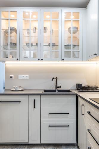 Dapur atau dapur kecil di Apartments Letná, AC & garage 89m2 and 44m2