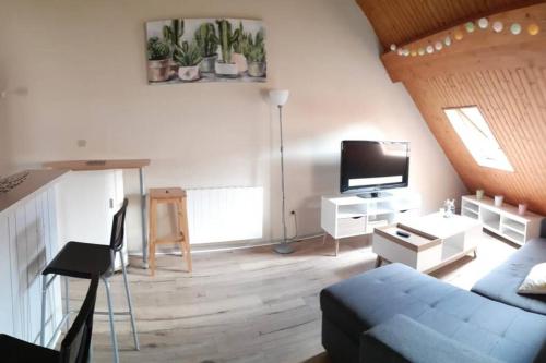 un salon avec un canapé et une télévision à écran plat dans l'établissement Duplex au centre ville, dans cour intérieure calme, à Dole