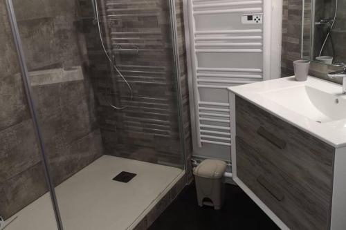 une salle de bain avec douche et lavabo dans l'établissement Duplex au centre ville, dans cour intérieure calme, à Dole