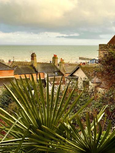 a green plant in front of a view of the beach at Gloucester House in Hastings