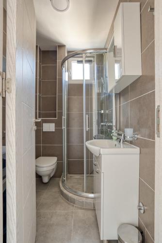 a bathroom with a shower and a sink and a toilet at Apartment La Perla in Đenovići