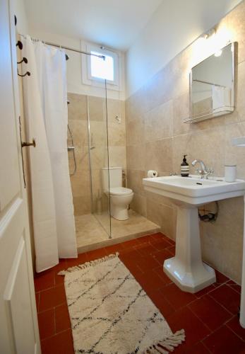 une salle de bain avec un lavabo, des toilettes et une douche dans l'établissement Rêv'Arles Maison de charmes aux Arènes, à Arles