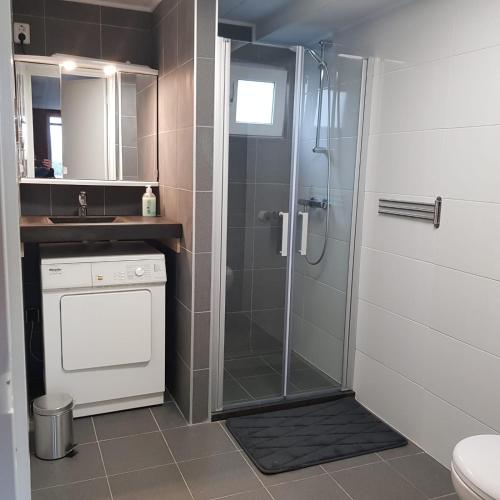 a bathroom with a shower and a toilet and a sink at A-frame volledig vrijstaande woning in Hensbroek