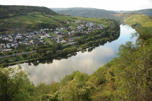 an aerial view of a river with a town at Weingut Rosenbaum in Briedel