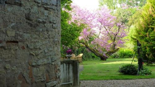 Relais de Chasse SASU GUTA – Photos 4