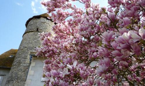 Relais de Chasse SASU GUTA – Photos 2
