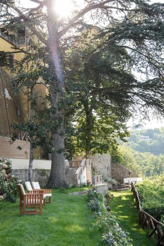 a bench sitting in the grass under a tree at Il Castello di San Michele in San Michele in Teverina