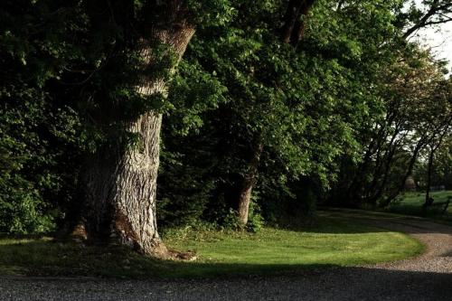 Fotografie z fotogalerie ubytování Fadeburet på Skibstedgaard v destinaci Tvolm