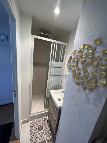 a bathroom with a sink and a mirror at Petit F2 fonctionnel plein centre et proche gare in Bourges