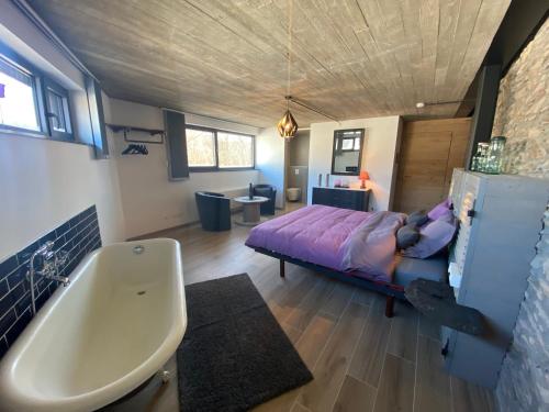 Le Héron - Gîte de charme avec rivière - 6 ou 10 personnes في Fauvillers: غرفة نوم مع سرير وحوض استحمام ومغسلة