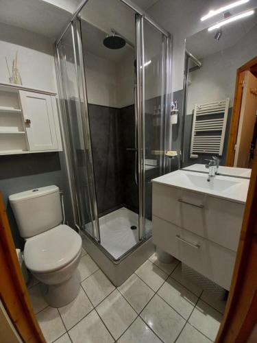 y baño con ducha, aseo y lavamanos. en Appartement Mont Dore tout confort, 2 pièces, 4 personnes, en Le Mont-Dore