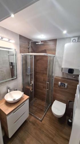 Koupelna v ubytování Apartament Słowik Rowy nr 7