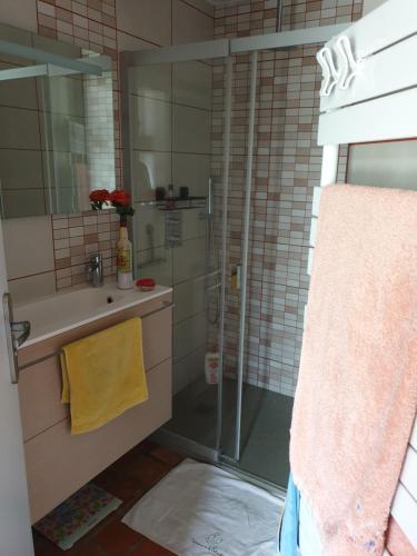 a bathroom with a shower and a sink and a mirror at Ty Cœur in Bais