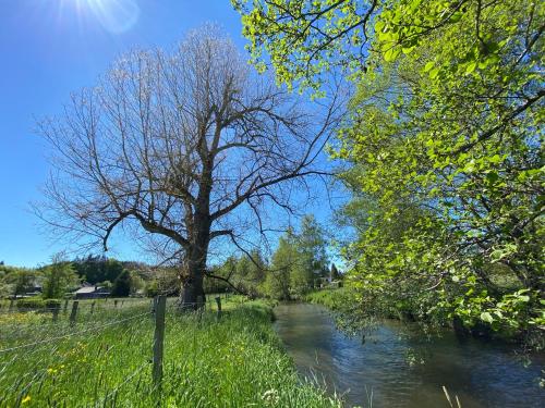 a river with a tree next to a fence at Le Héron - Gîte de charme clôturé, accès à la rivière - 6 ou 10 personnes in Fauvillers