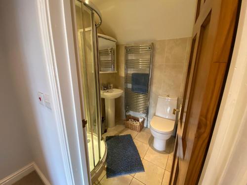 a small bathroom with a toilet and a sink at Extended Fishermans cottage with stunning sea views in The Mumbles