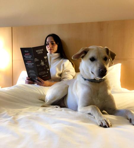 a woman sitting on a bed reading a book with a dog at Hotel ibis Porto Sul Europarque in Santa Maria da Feira
