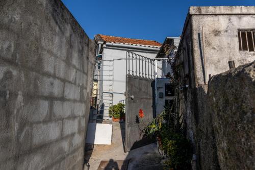 House on a rustic Island At Campanha Trainstation