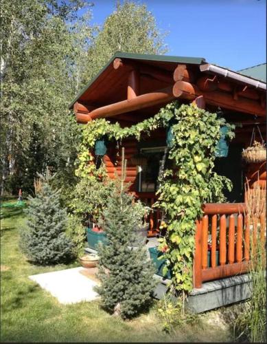 Zahrada ubytování Lazy Fox Cabin