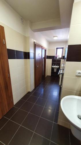 a bathroom with a sink and a toilet at Motorest U Kola in Prostějov