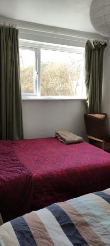 a bedroom with a red bed and a window at Toad Hall Hostel in Machynlleth