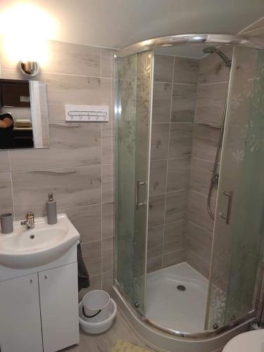 a bathroom with a shower and a sink at Zacisze u Ani in Siemiany