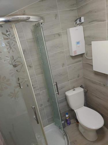 a bathroom with a toilet and a glass shower at Zacisze u Ani in Siemiany