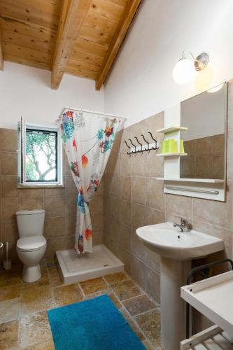 a bathroom with a toilet and a sink and a mirror at Villa Barba Yannis in Gaios