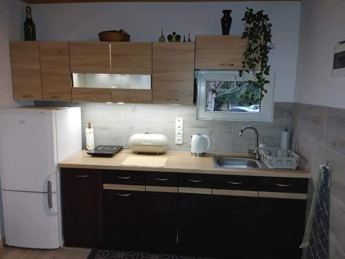 a kitchen with a sink and a white refrigerator at Zacisze u Ani in Siemiany