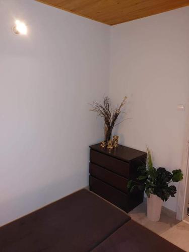 a bedroom with a bed and a dresser with plants at Zacisze u Ani in Siemiany