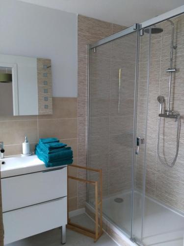une salle de bain avec douche et lavabo dans l'établissement Les Chambres d Odile, à Lachapelle-sous-Chaux