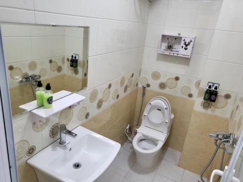 a bathroom with a sink and a toilet and a mirror at BA CON ECH Home and Stay- No 28 lane 259 Nguyen Duc Canh in Hai Phong