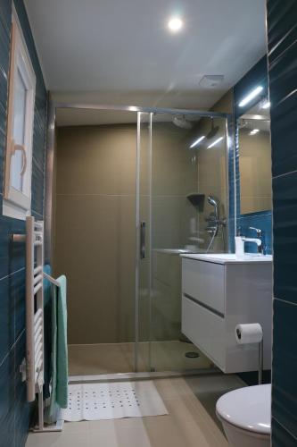 a bathroom with a shower and a sink and a toilet at Villa Art Natura in Juzet-de-Luchon