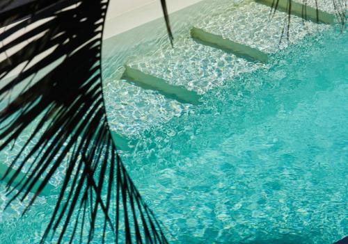 a pool of water with a palm tree in it at Posada Tamarindo in José Ignacio