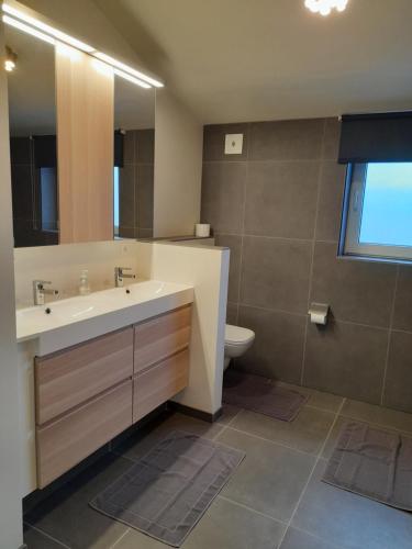un bagno con lavandino, water e specchio di de blinker a Knokke-Heist