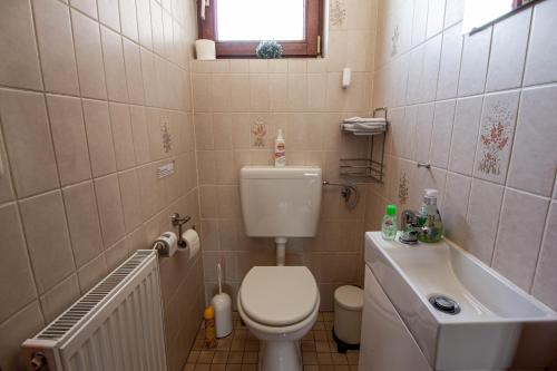 a small bathroom with a toilet and a sink at Lütt Hus Erna in Fehmarn