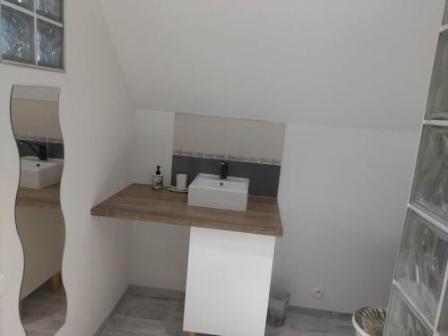 een badkamer met witte muren en een witte wastafel bij Appartement cosy + accès jardin et salle de muscu in Mardié