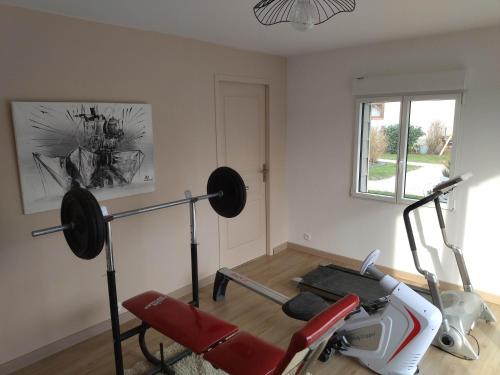une salle de sport avec un vélo. dans l'établissement Appartement cosy + accès jardin et salle de muscu, à Mardié