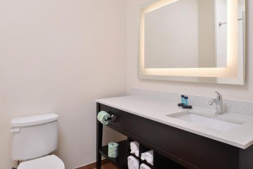 uma casa de banho com um lavatório, um WC e um espelho. em Americas Inn & Suites IAH North em Humble