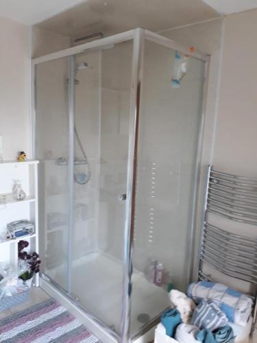 W łazience znajduje się prysznic ze szklanymi drzwiami. w obiekcie Oakland w mieście Portadown